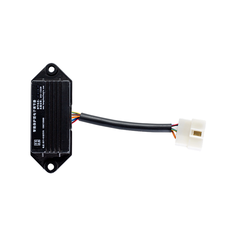 IP65 DC24V bred spänning Överspänning Överström Industriell gaffeltruck laddningssystem Elektronisk regulator