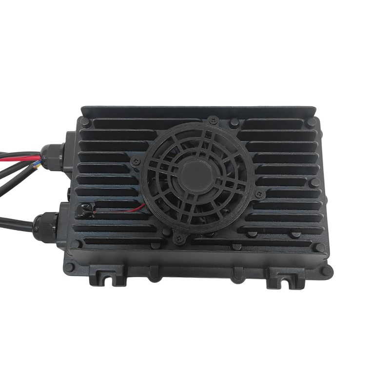 FLACDC-P600 24/36/48V batteriladdare